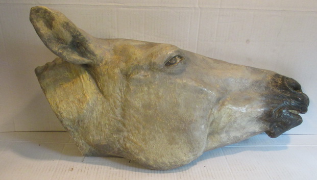 antique anatomical model head of a horse
