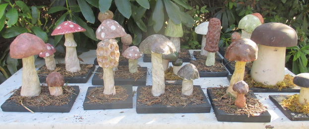 antique botanical models mushrooms