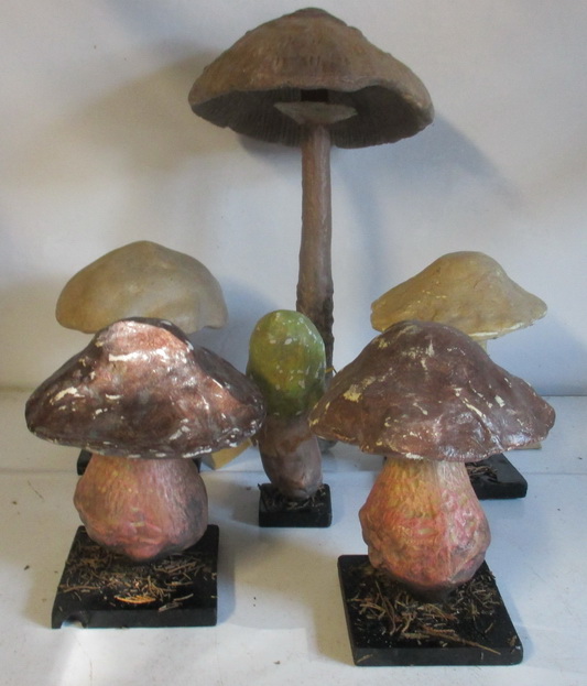 antique botanical models mushrooms